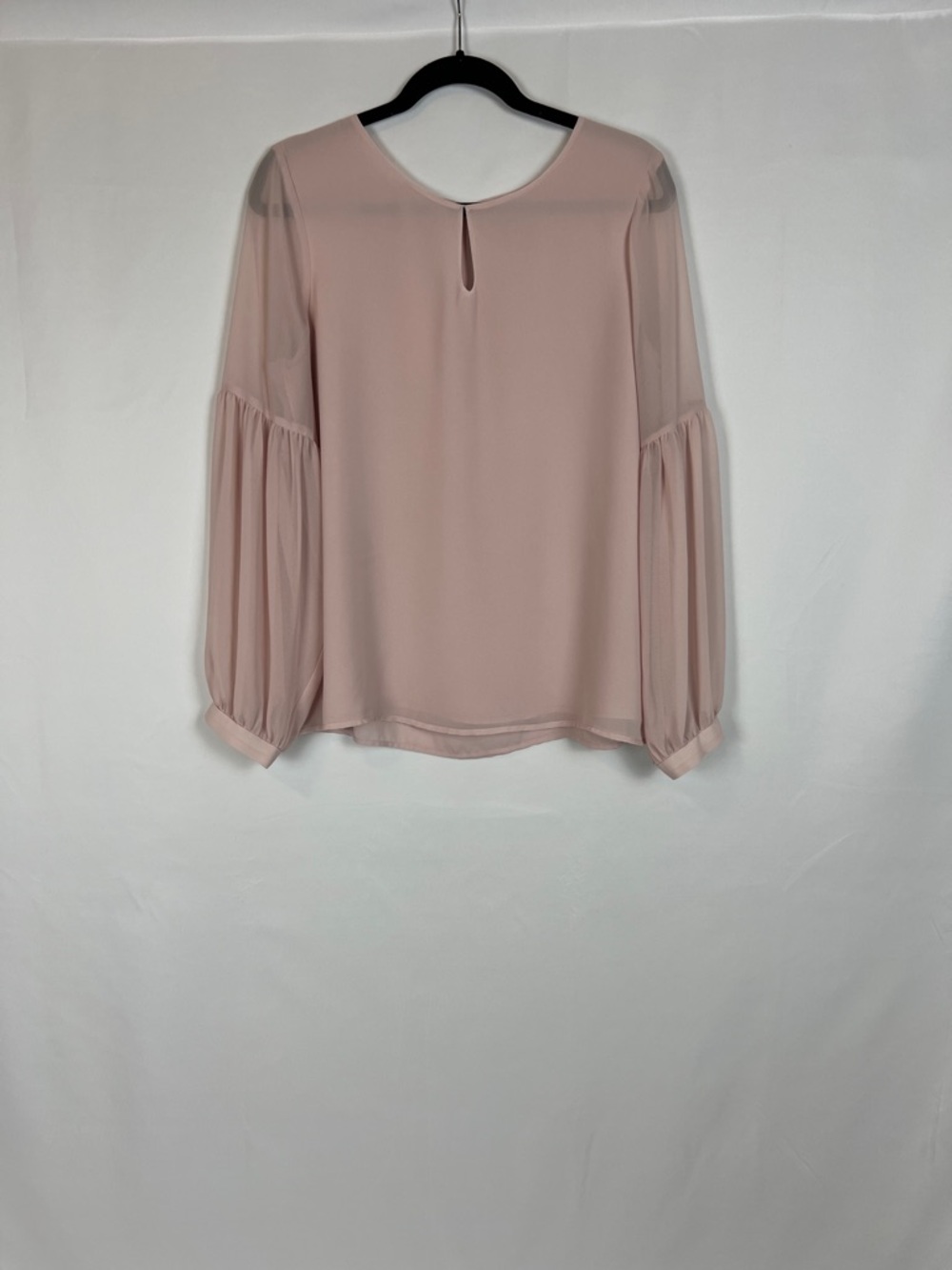 Express Blush Sheer Balloon Sleeve Top - Picture 1 of 13